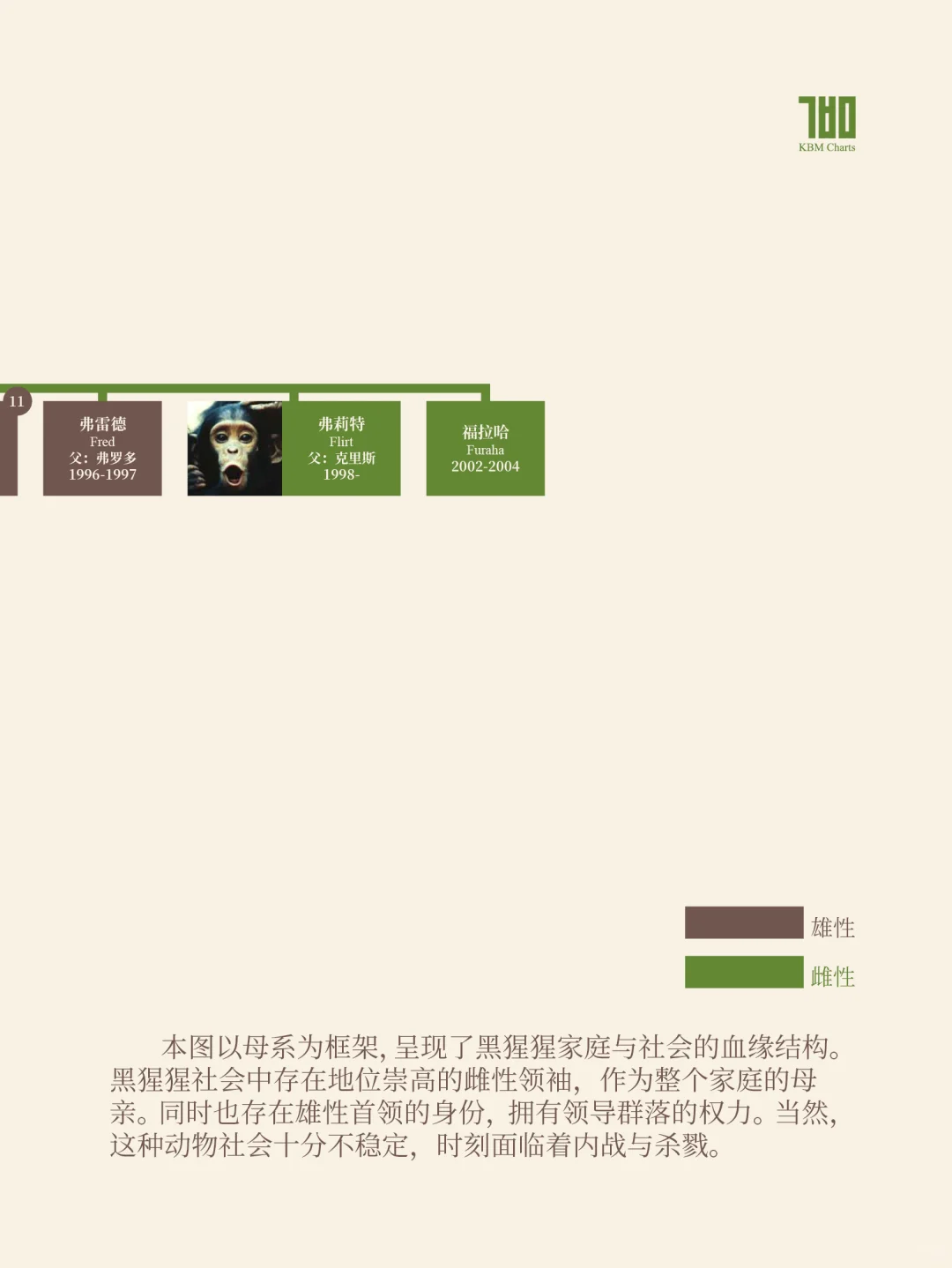 纪念珍·古道尔：卡萨克拉黑猩猩群落世系