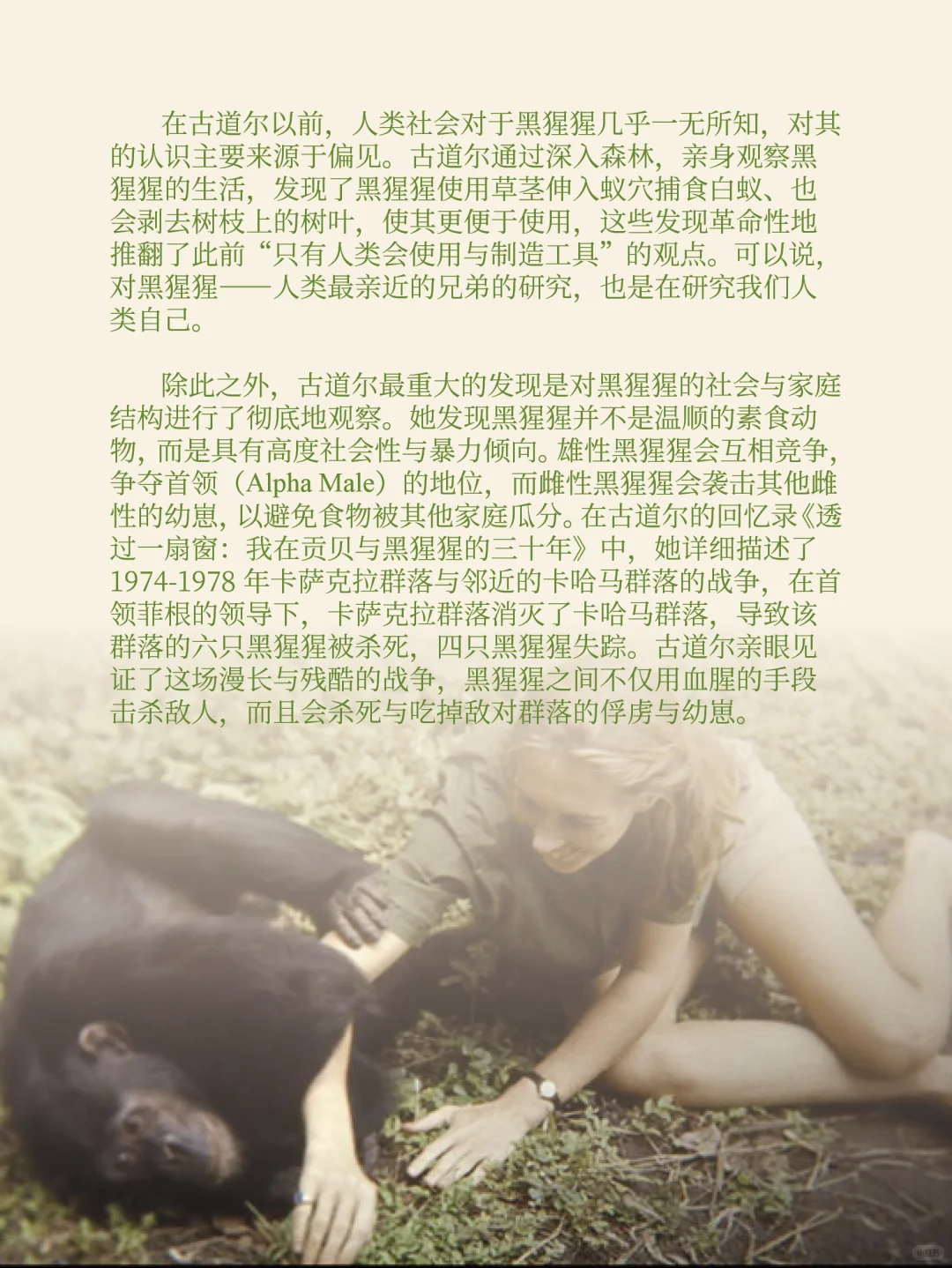 纪念珍·古道尔：卡萨克拉黑猩猩群落世系