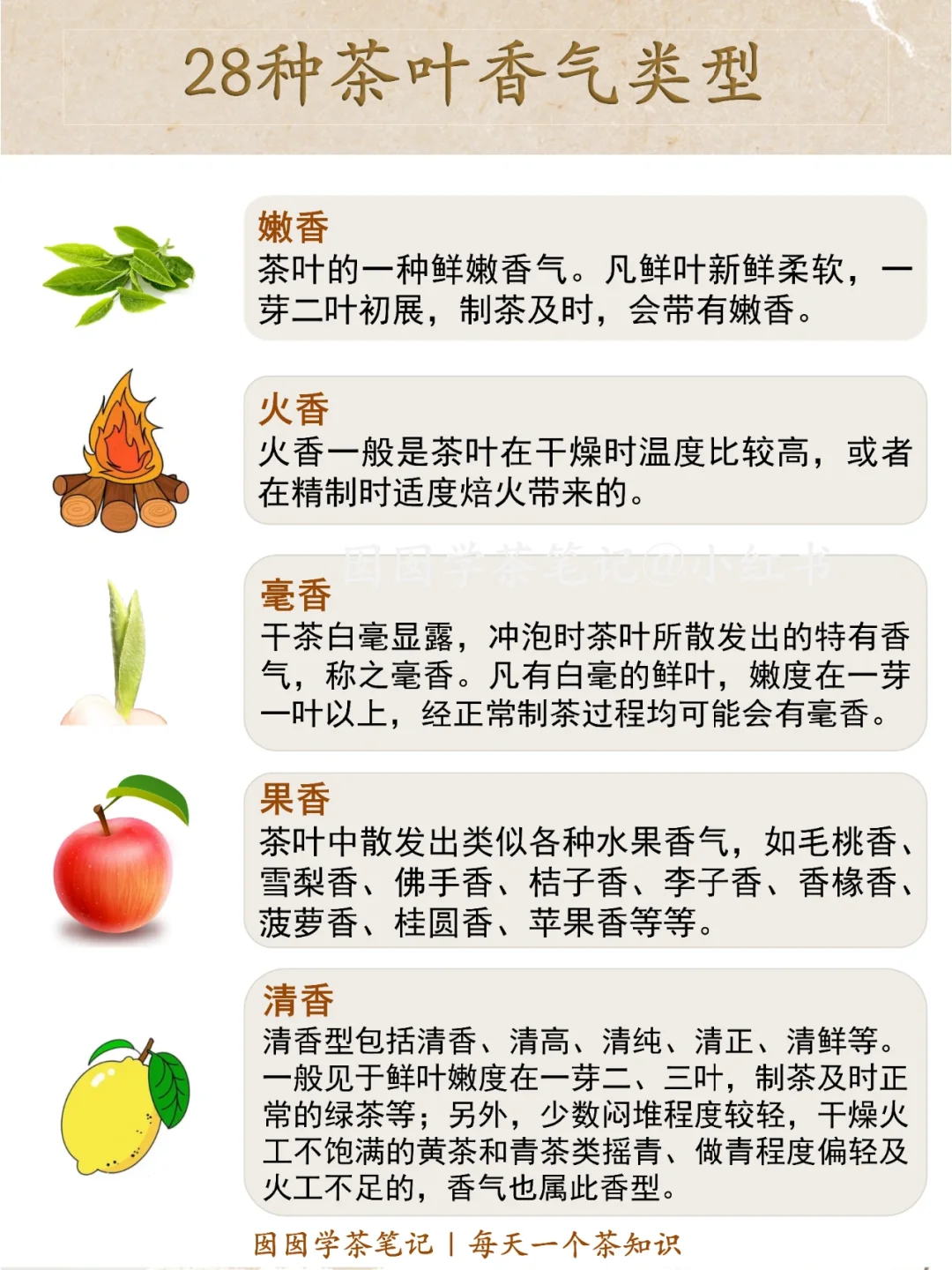 盘点❗️28种常见茶叶香气?你闻过几种？