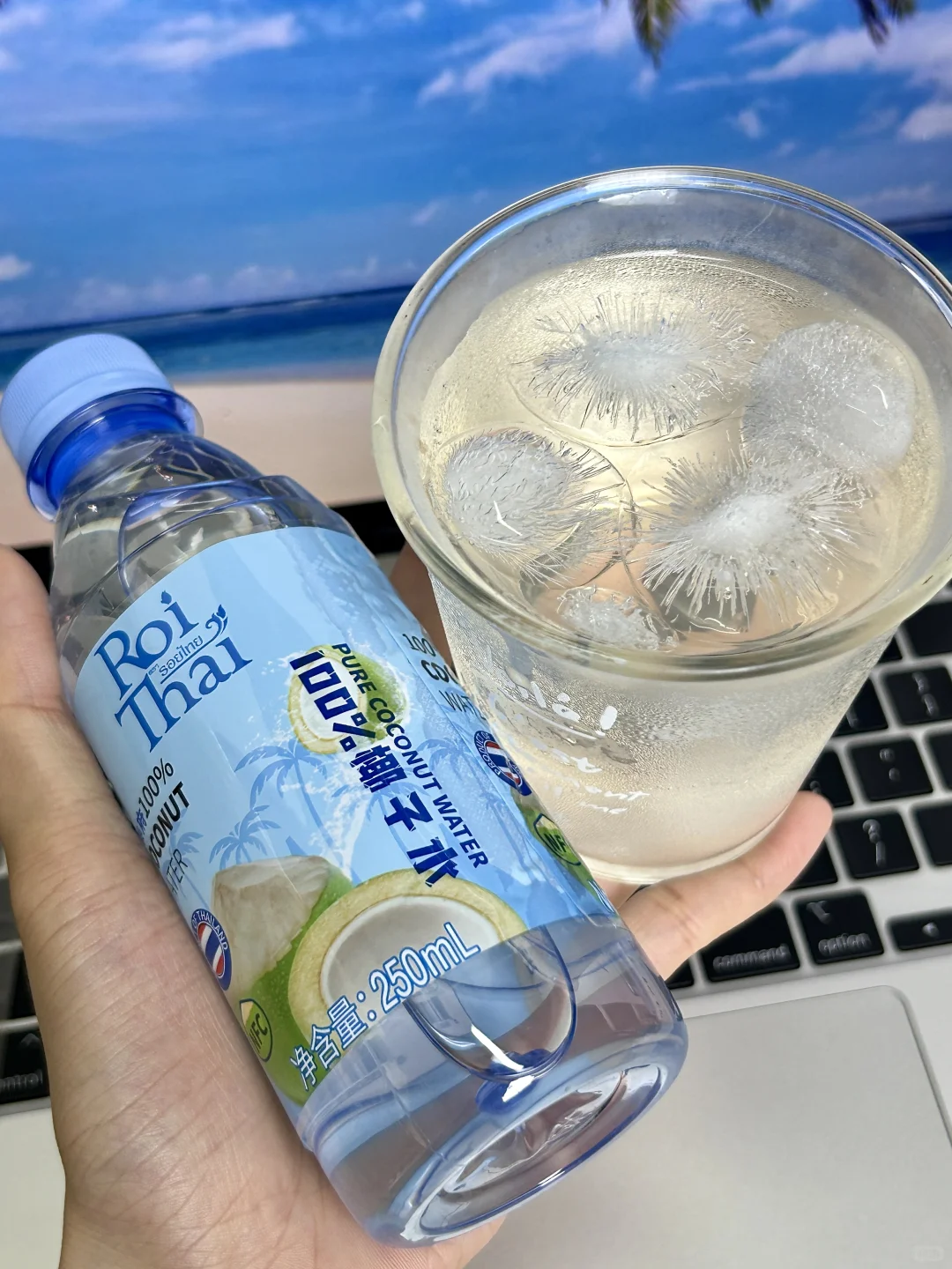 哦莫！打工的动力是椰子水给滴?‼️