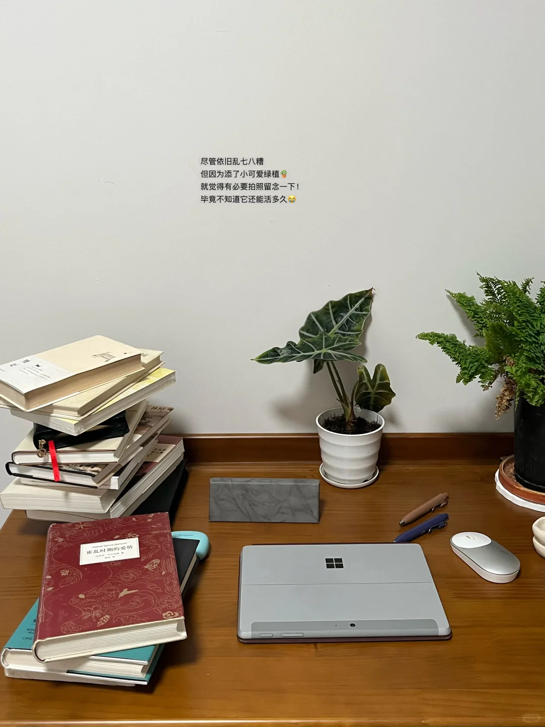 攒奶?钱第8天 | 把生活过成治愈系