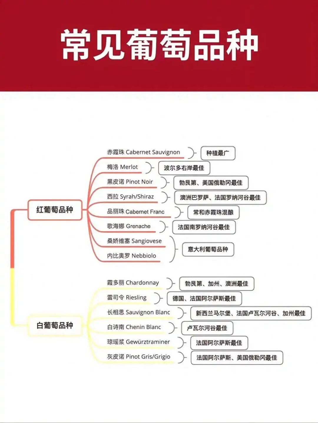 葡萄酒入门指南，7张图让你成为红酒达人