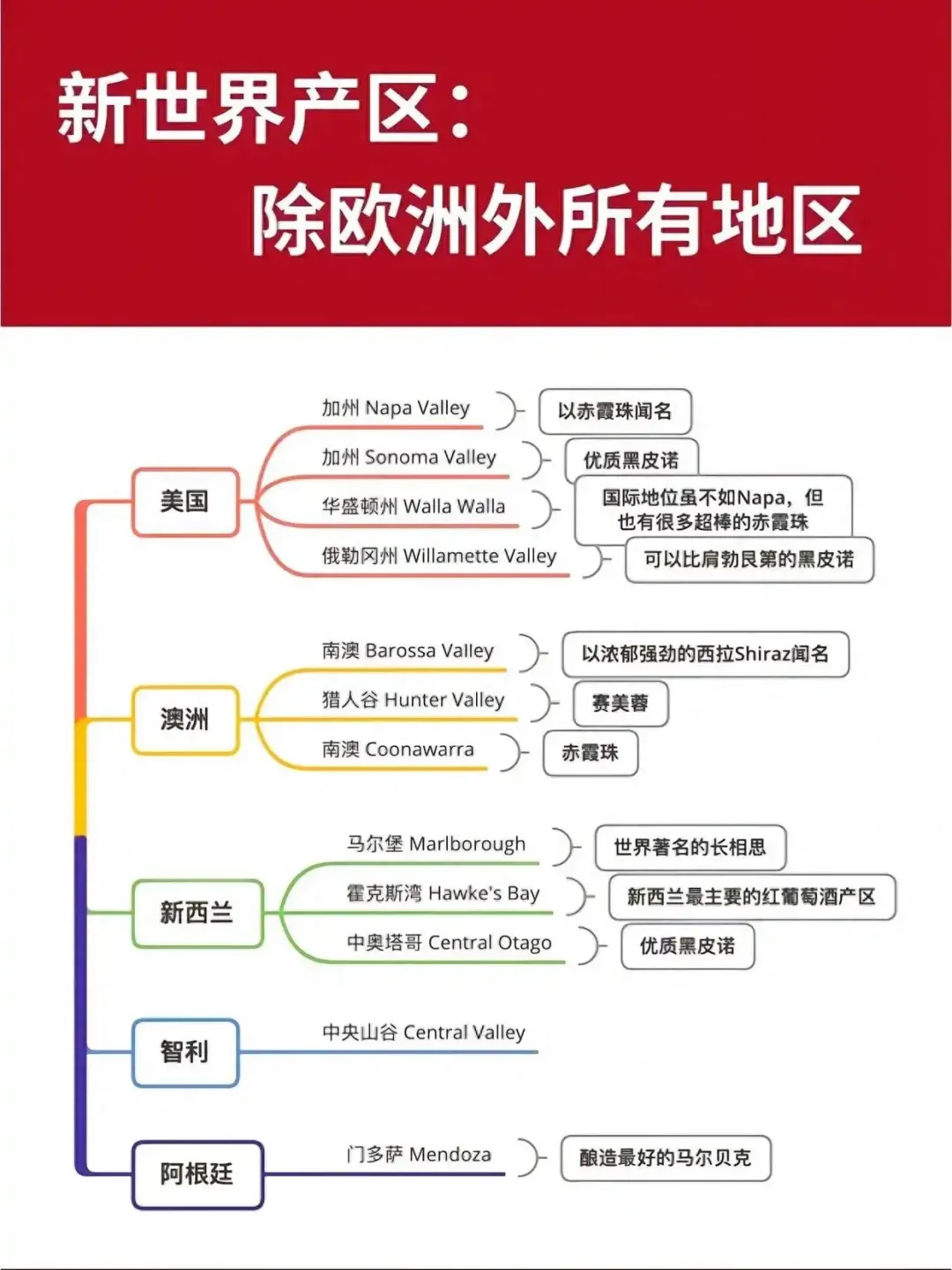 葡萄酒入门指南，7张图让你成为红酒达人
