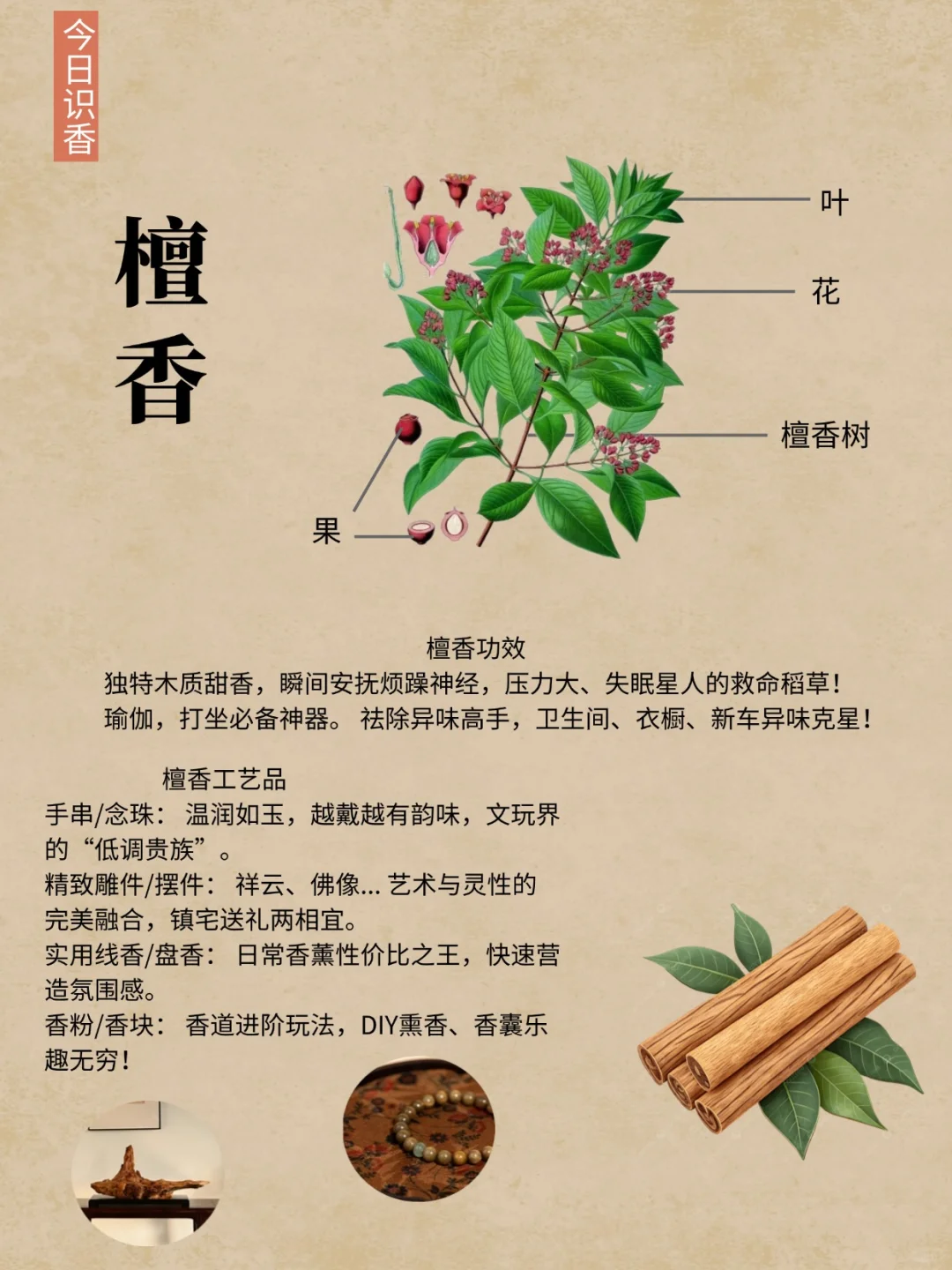 今日识香｜『檀香』中国四大名香之一‼️