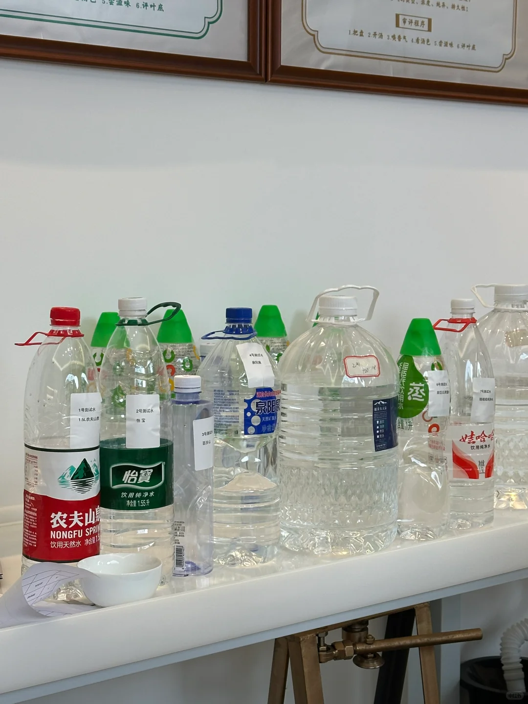 你们都用啥牌子水泡茶？