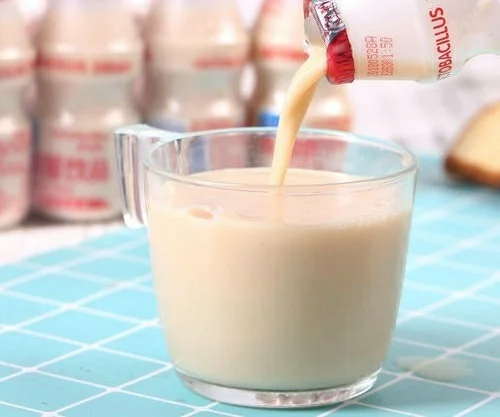 益生菌与发酵饮品的发展