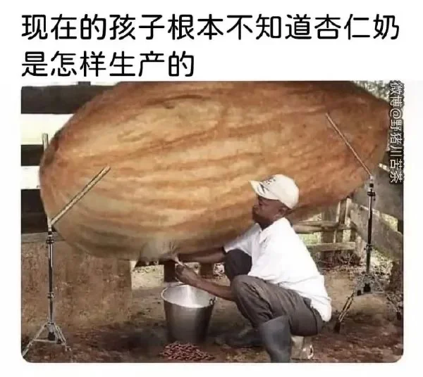 今日份meme：杏仁奶挤奶工？？？！