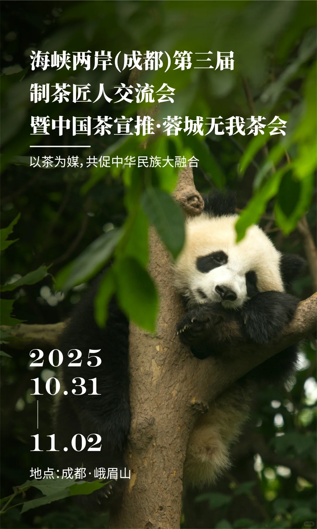 第三届制茶匠人交流会
