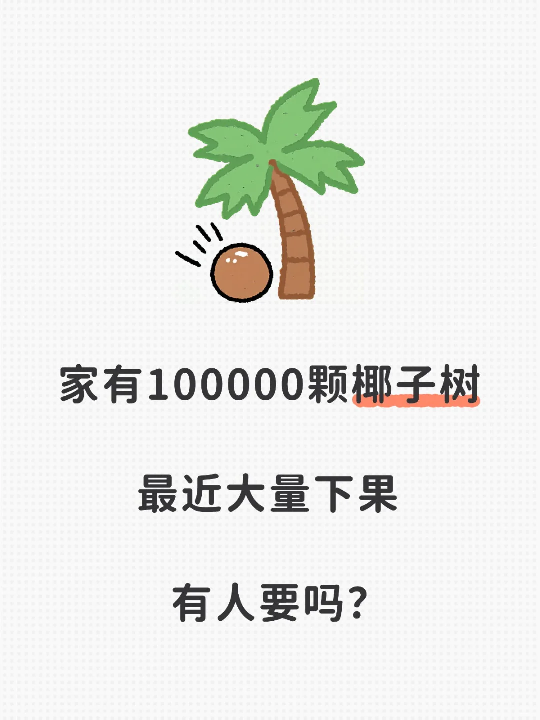 文昌东郊椰林