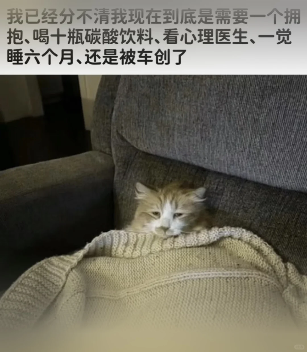 我已经分不清我现在到底是需要一个拥抱、喝