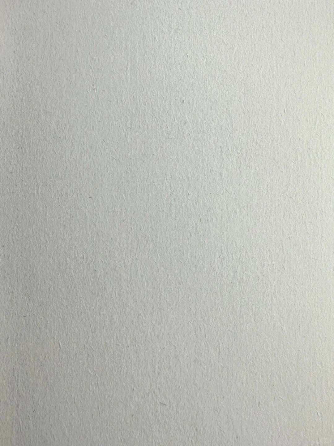 ♻️环保纸张➡️甘蔗渣纸