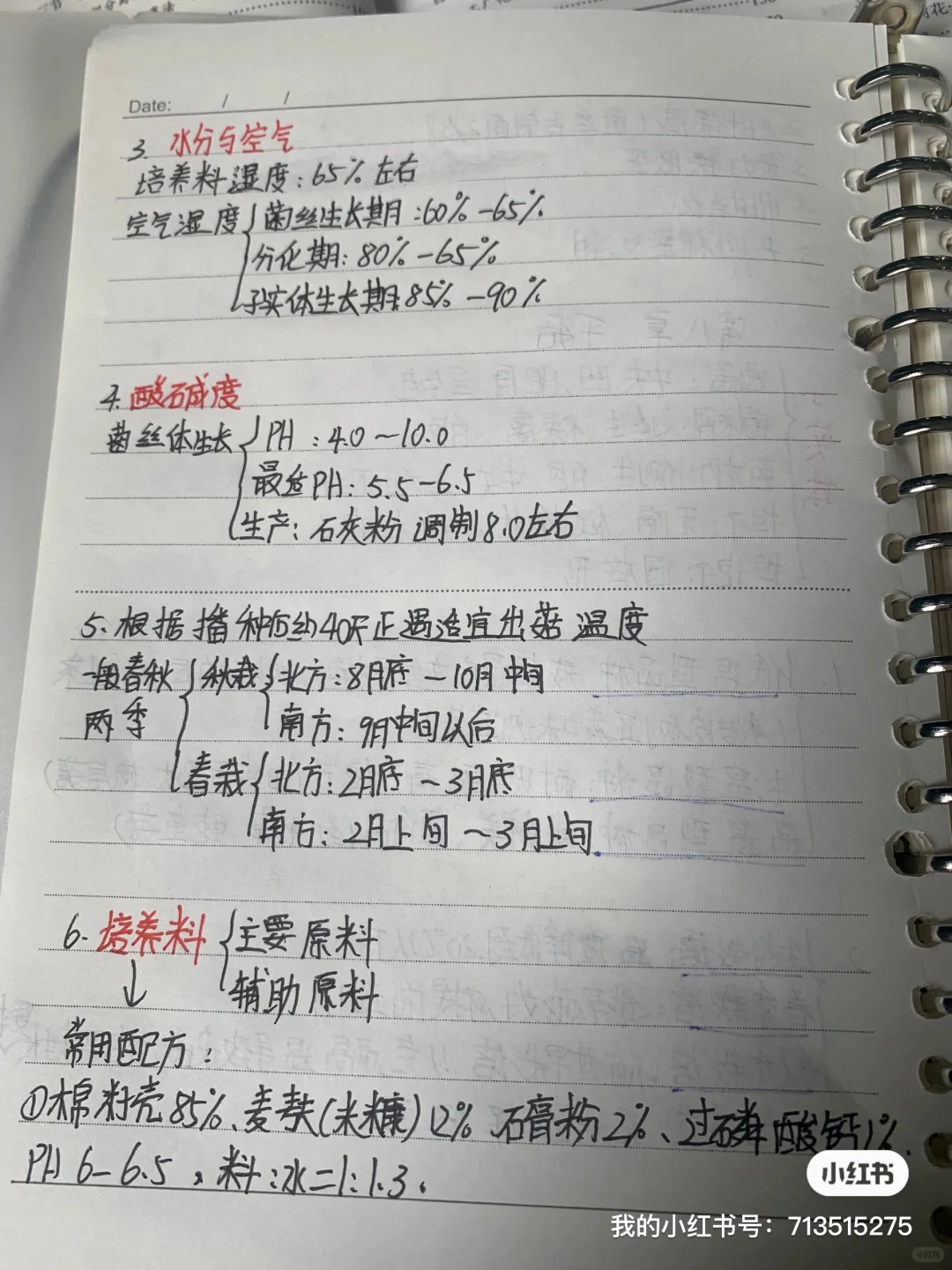 食用菌