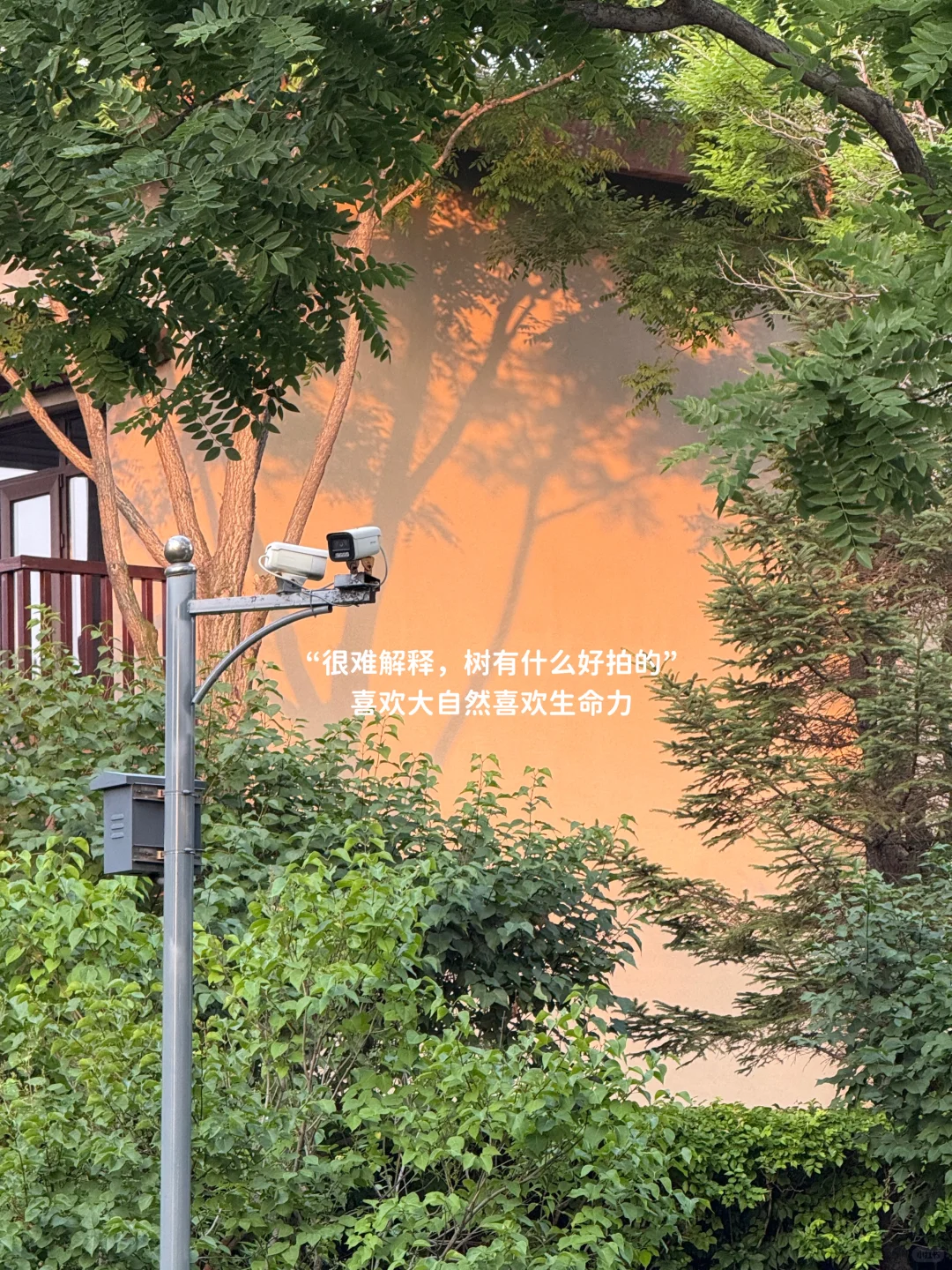 ?好好照顾自己，从多喝白开水开始