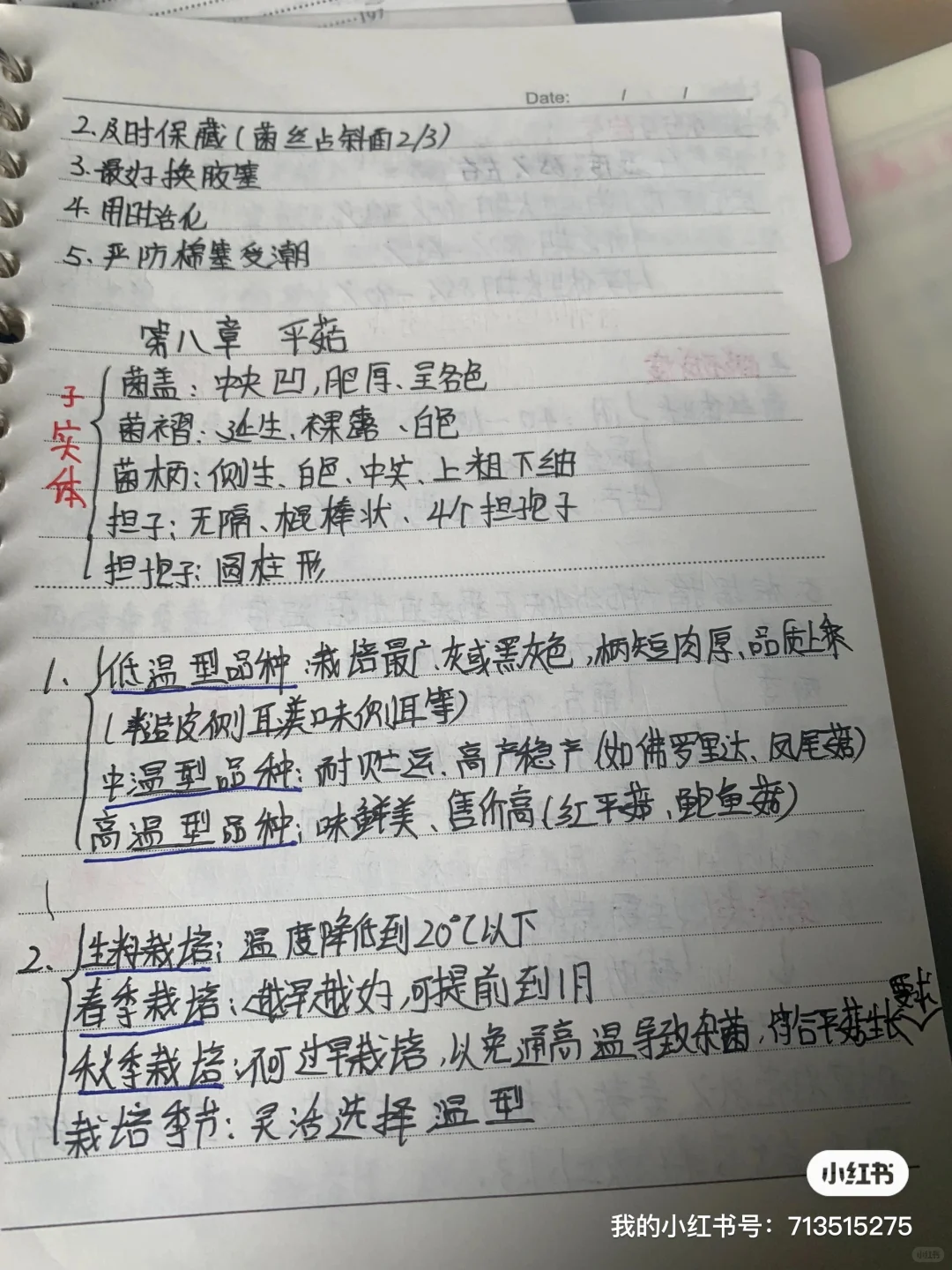 食用菌