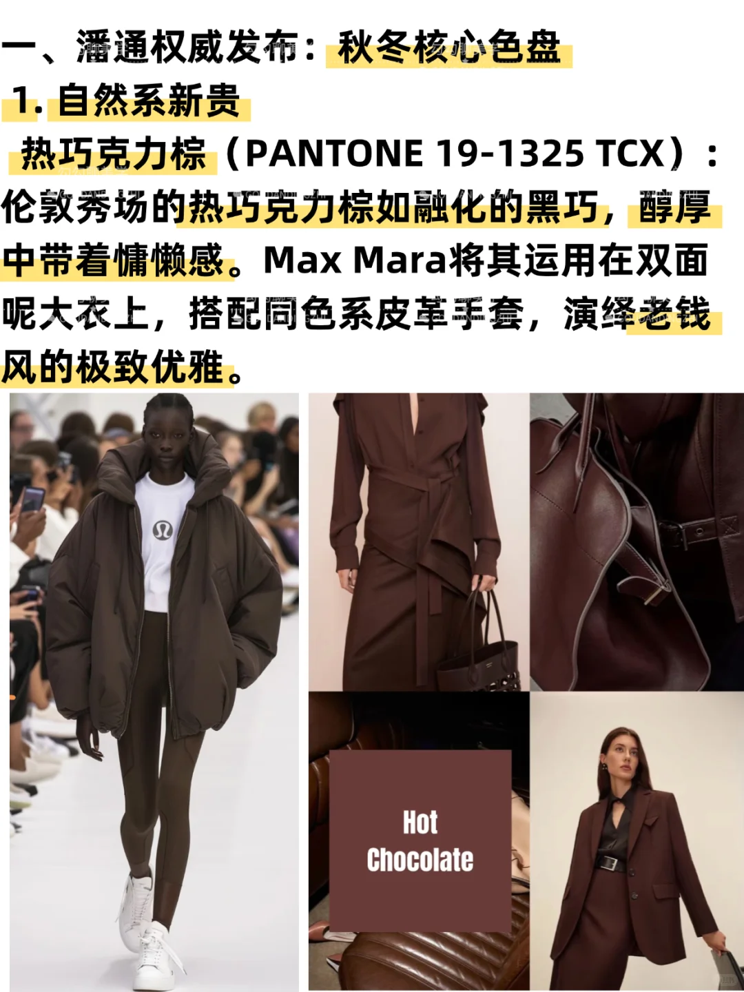 2025秋冬流行色全解析｜一篇说清秋冬流行色