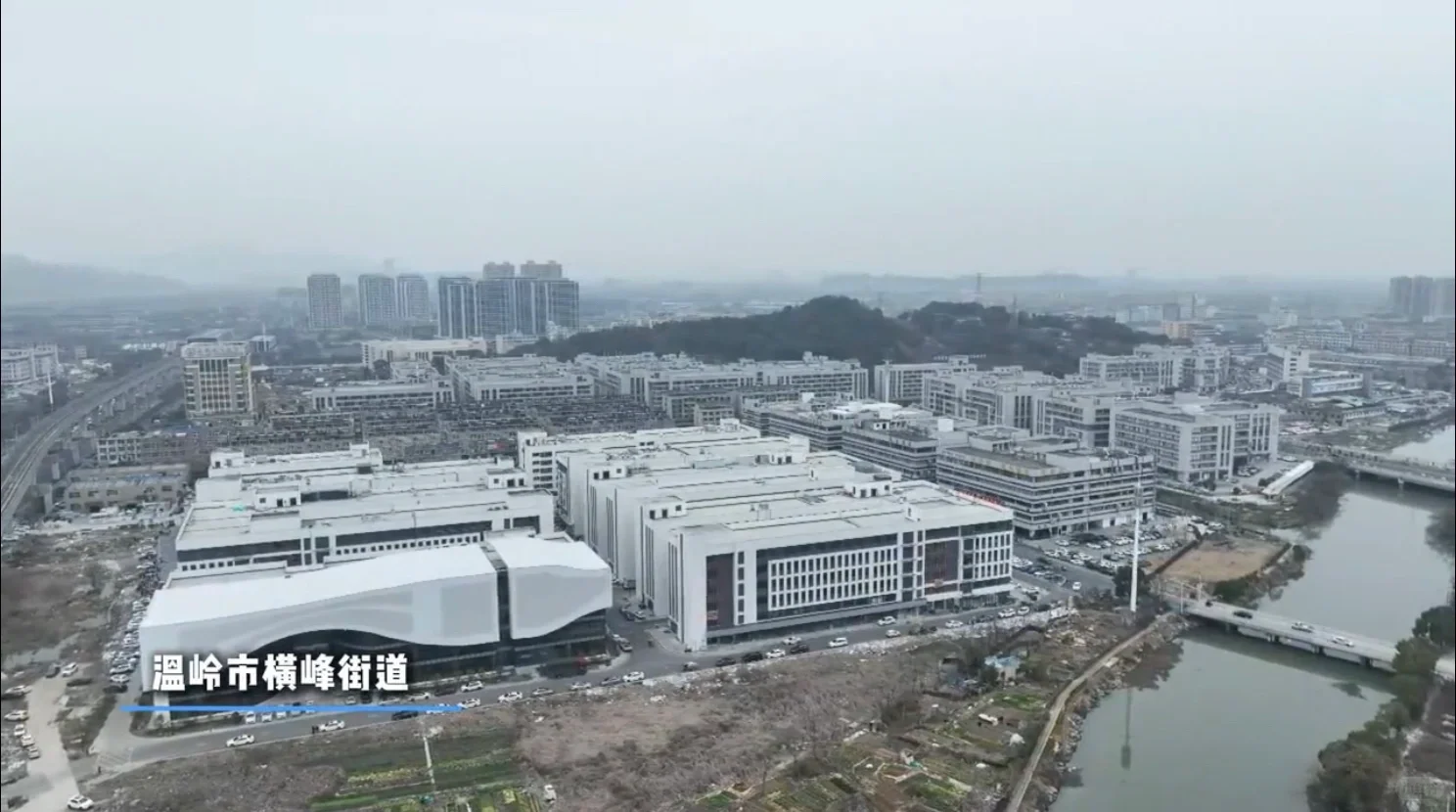 我们老板上电视啦???