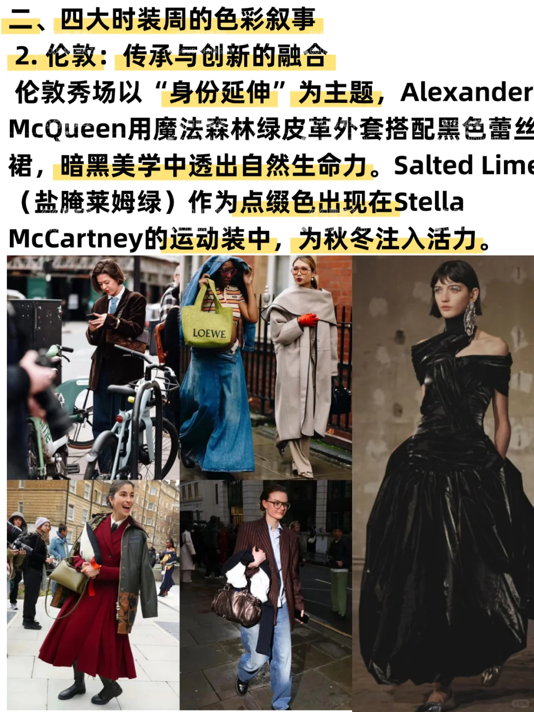 2025秋冬流行色全解析｜一篇说清秋冬流行色