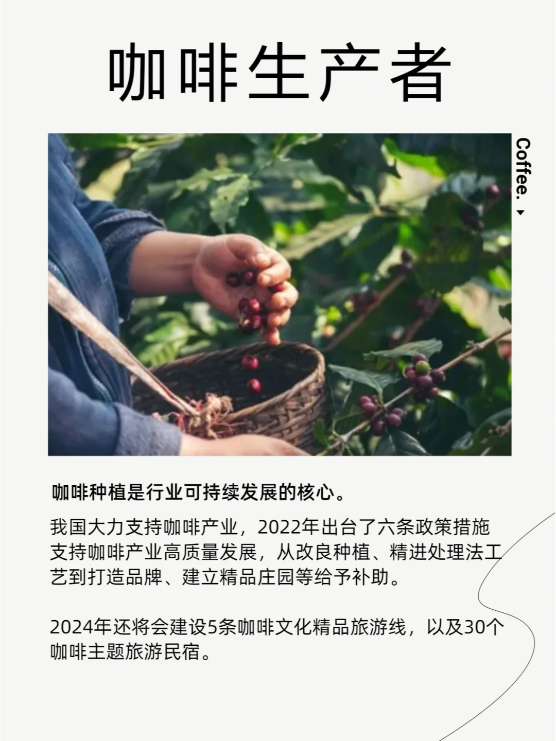 关于咖啡|行业中少见的角色，特别是第5个