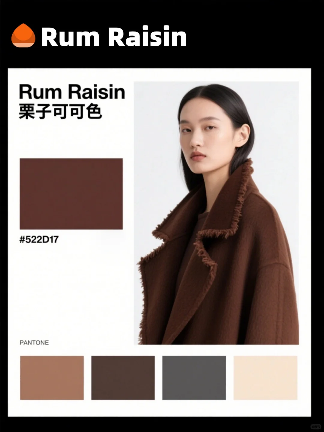 2025秋冬流行色彩：6组配色灵感?