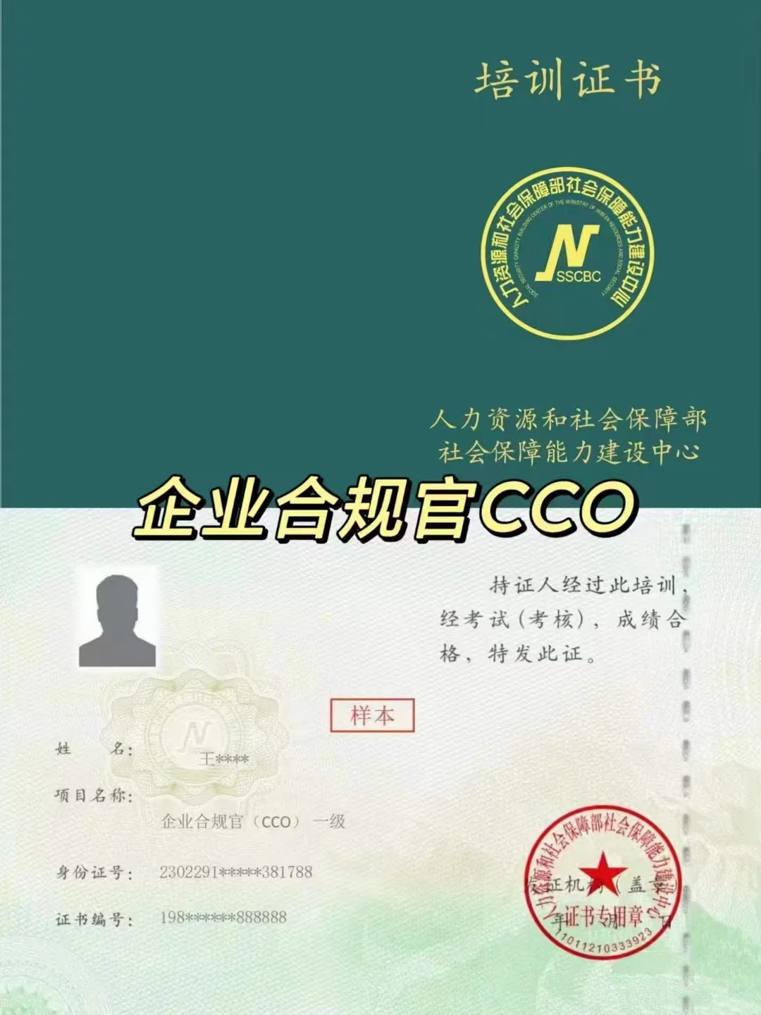 企业合规官cco你想了解的我都有