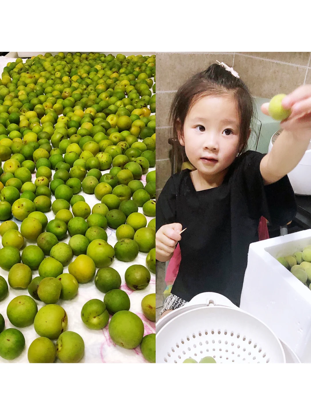 初夏之青梅，春分之美酒｜自酿青梅酒（附㊙️