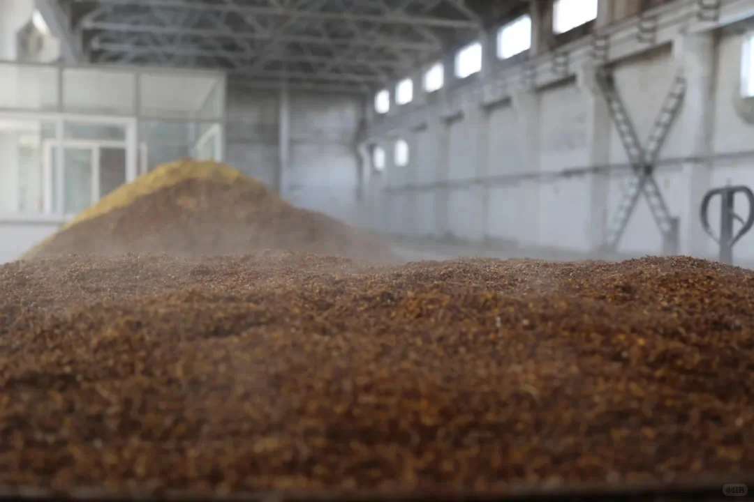 重阳下沙｜一坛酱香酒生命的起点