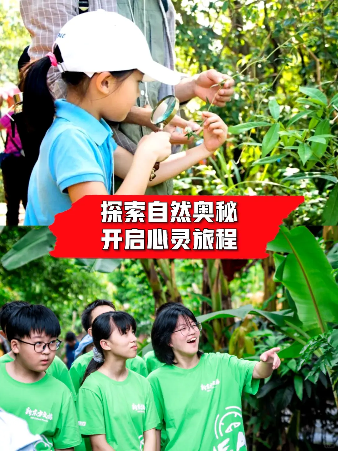 终于有人把研学的类型给说清楚了‼️