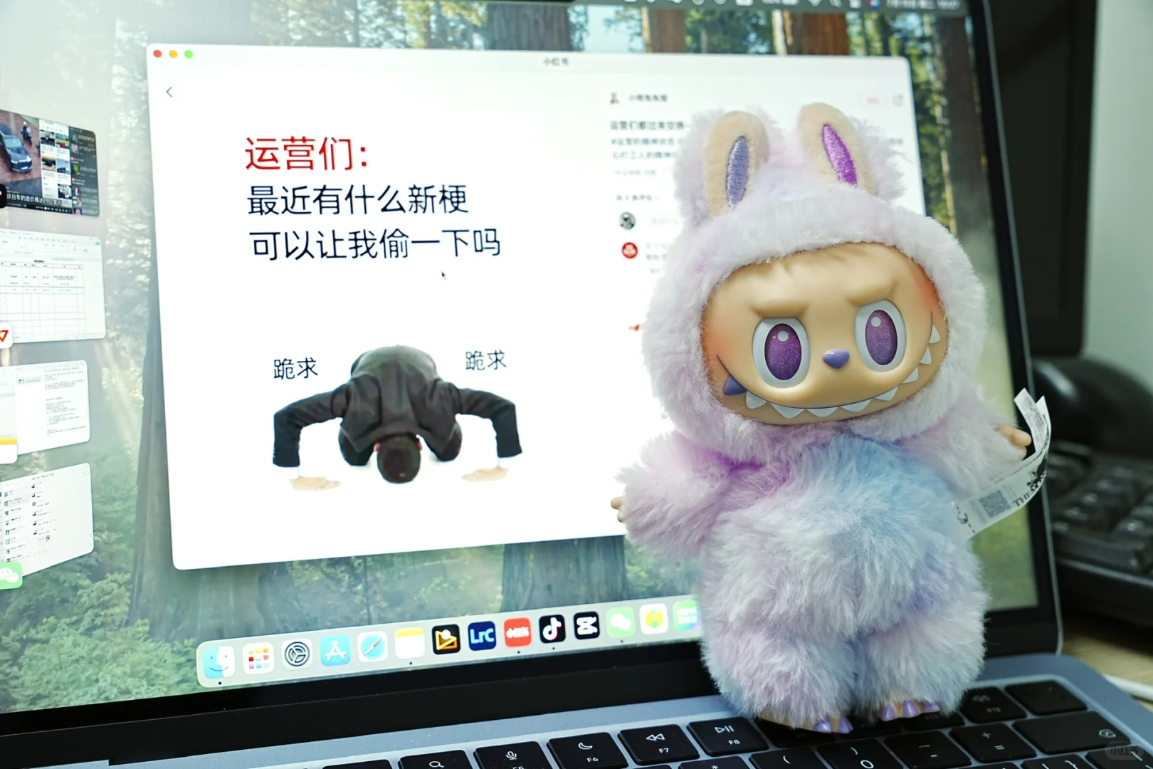 新媒体运营运营脑子里没有梗?