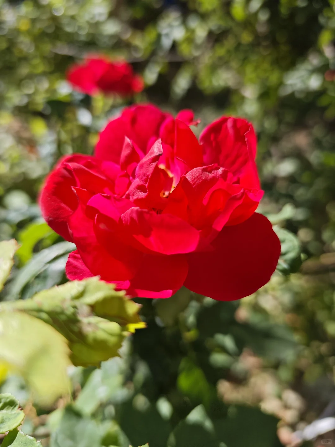 四千年前的致富秘诀｜普通人也能财务自由