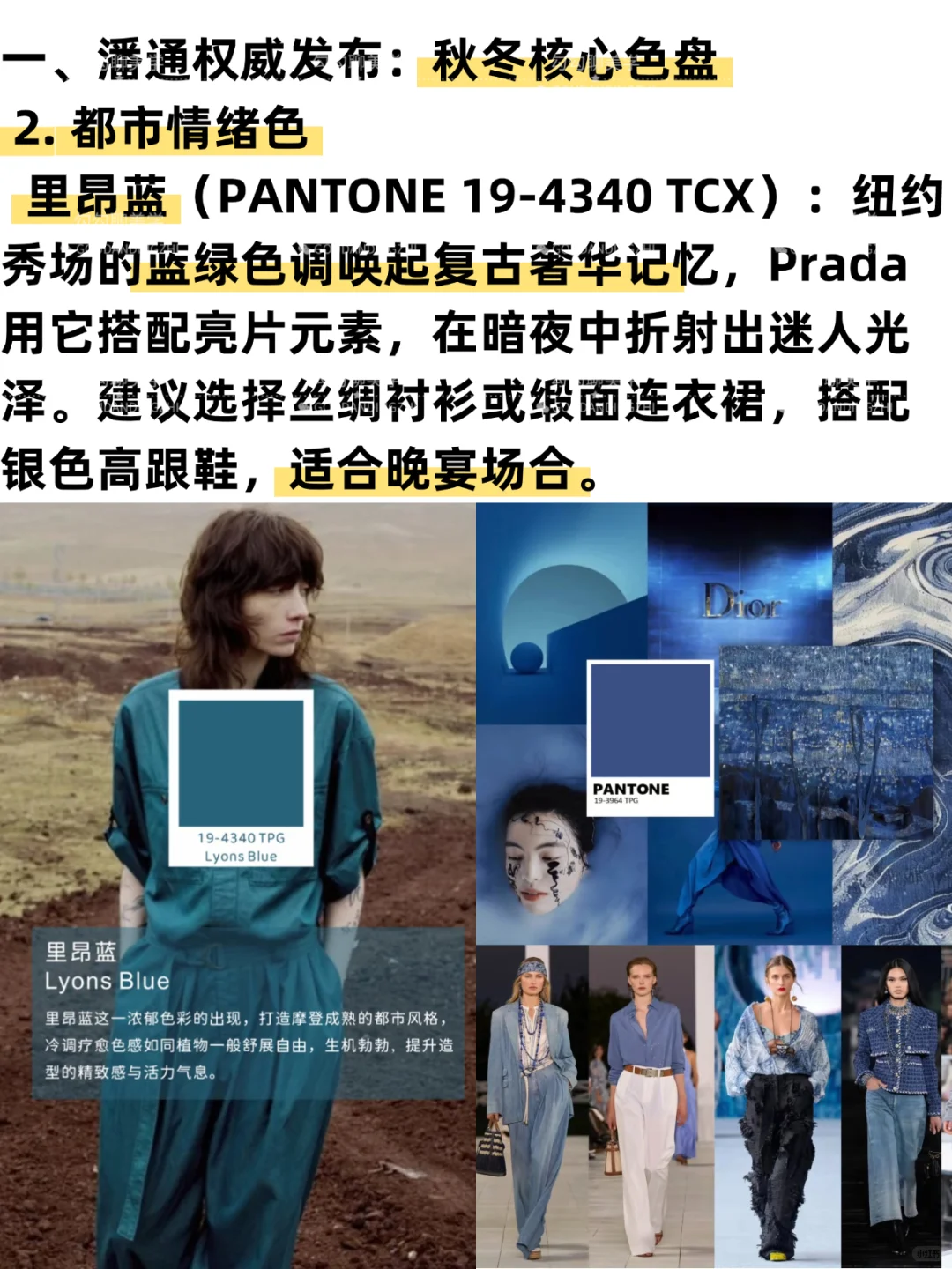 2025秋冬流行色全解析｜一篇说清秋冬流行色