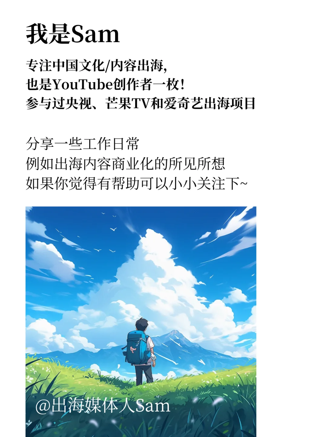 国际传播值得借鉴的案例：Chengdu Plus