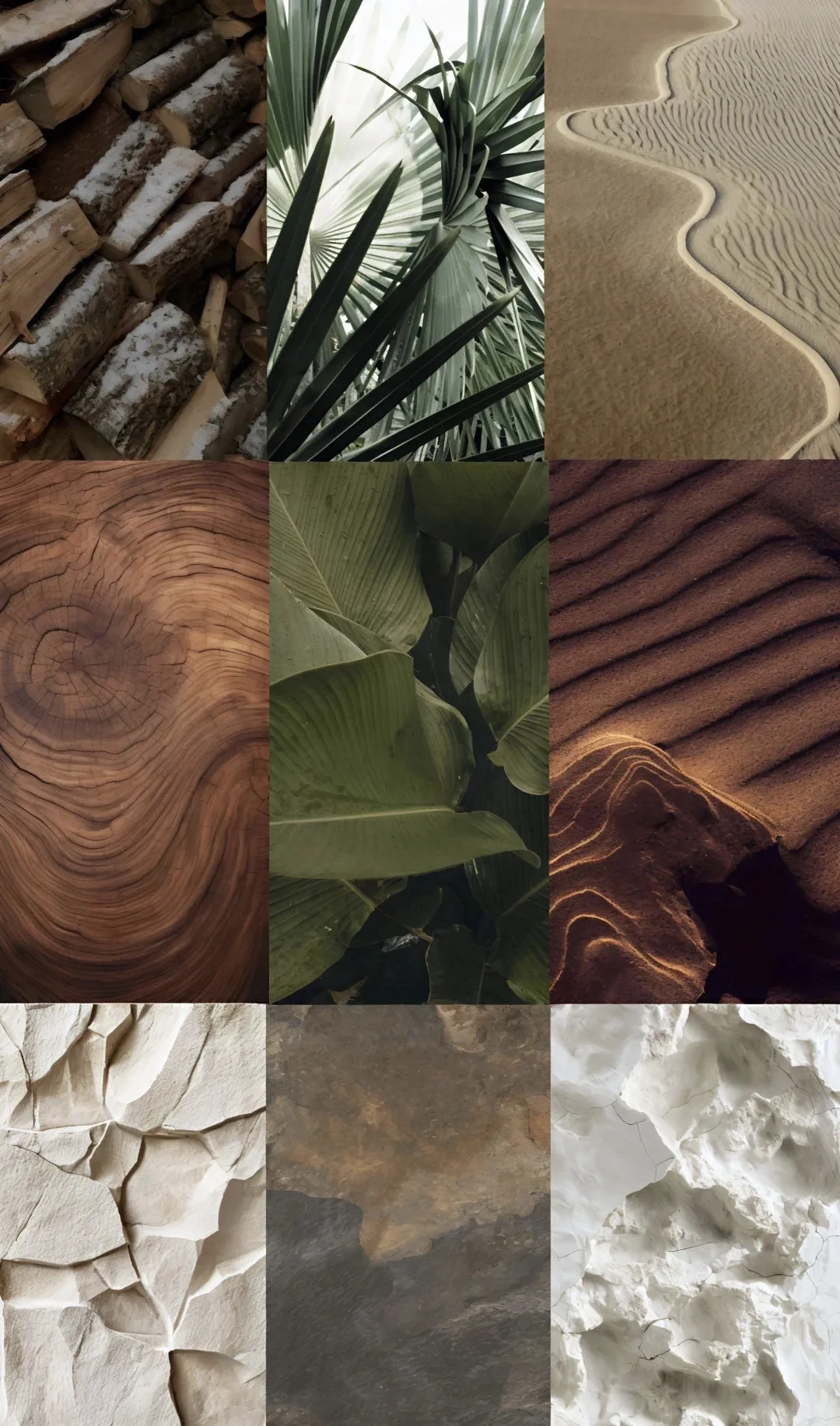 2026秋冬流行色趋势—原色