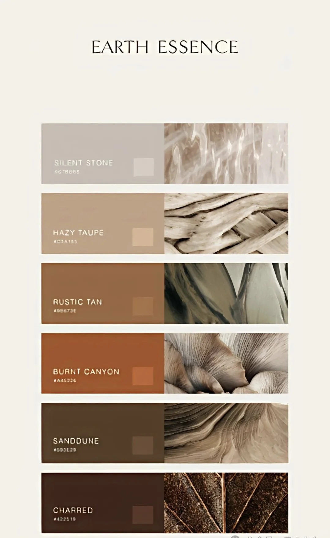 2026秋冬流行色趋势—原色