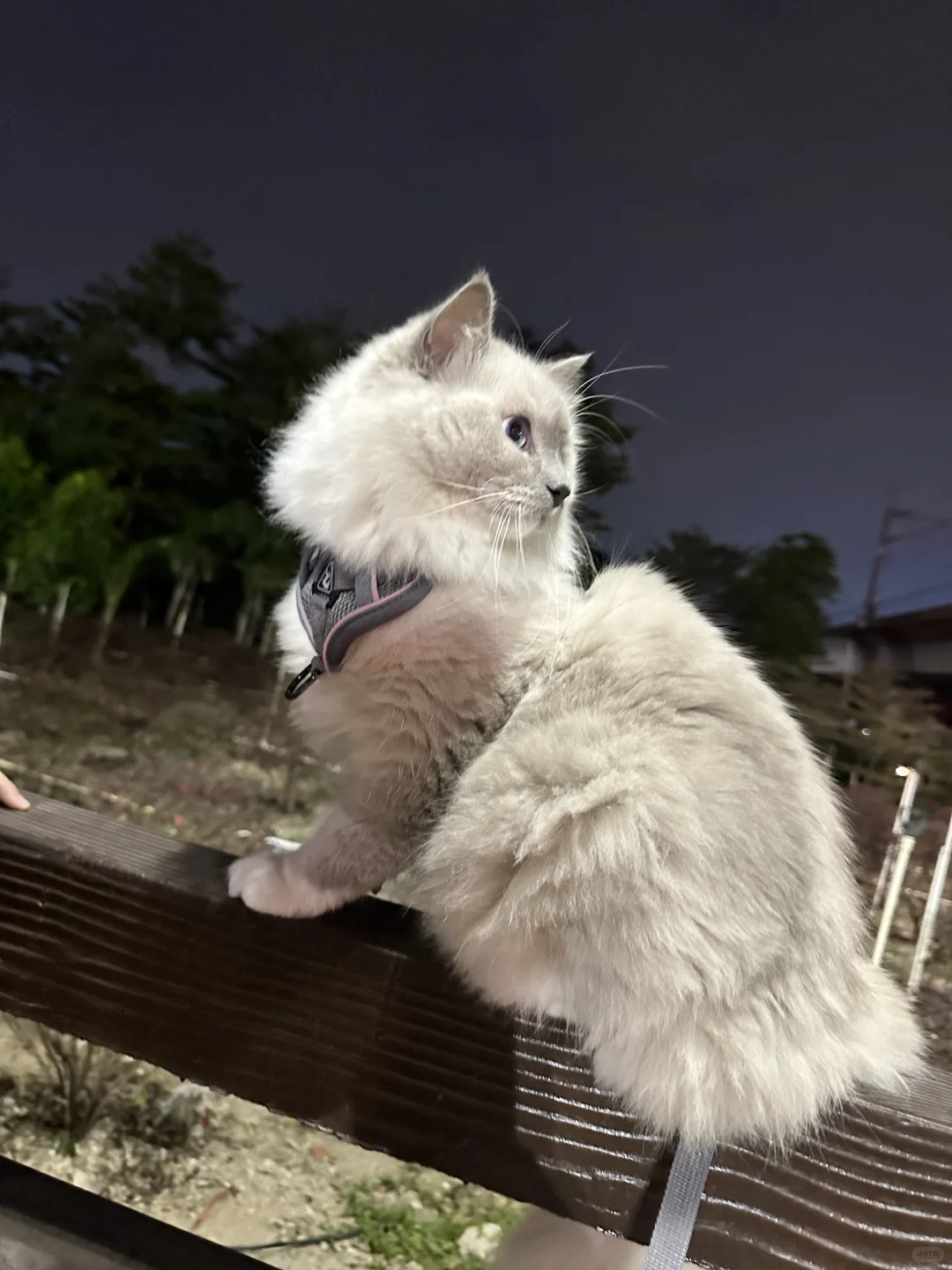 智能锁源头工厂