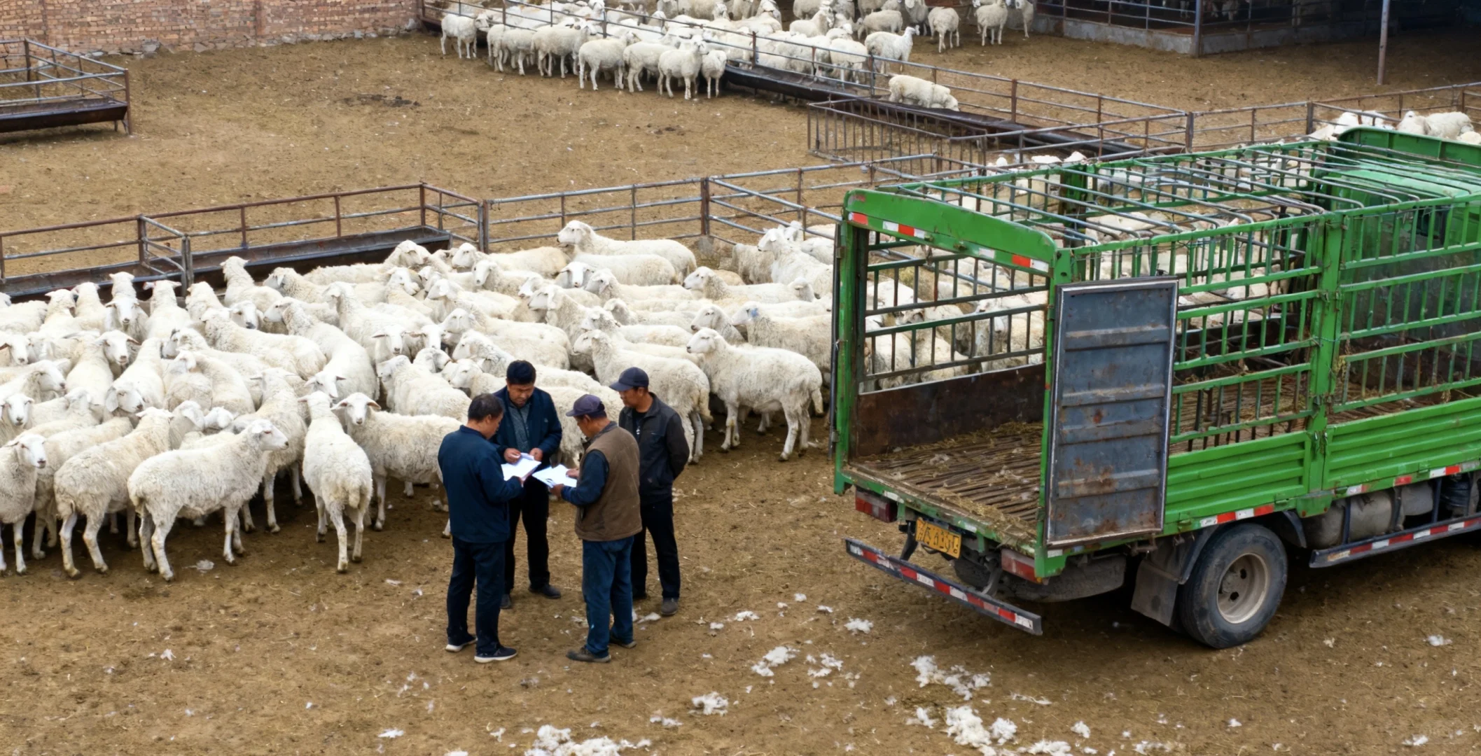 新政炸裂分享（第二弹）