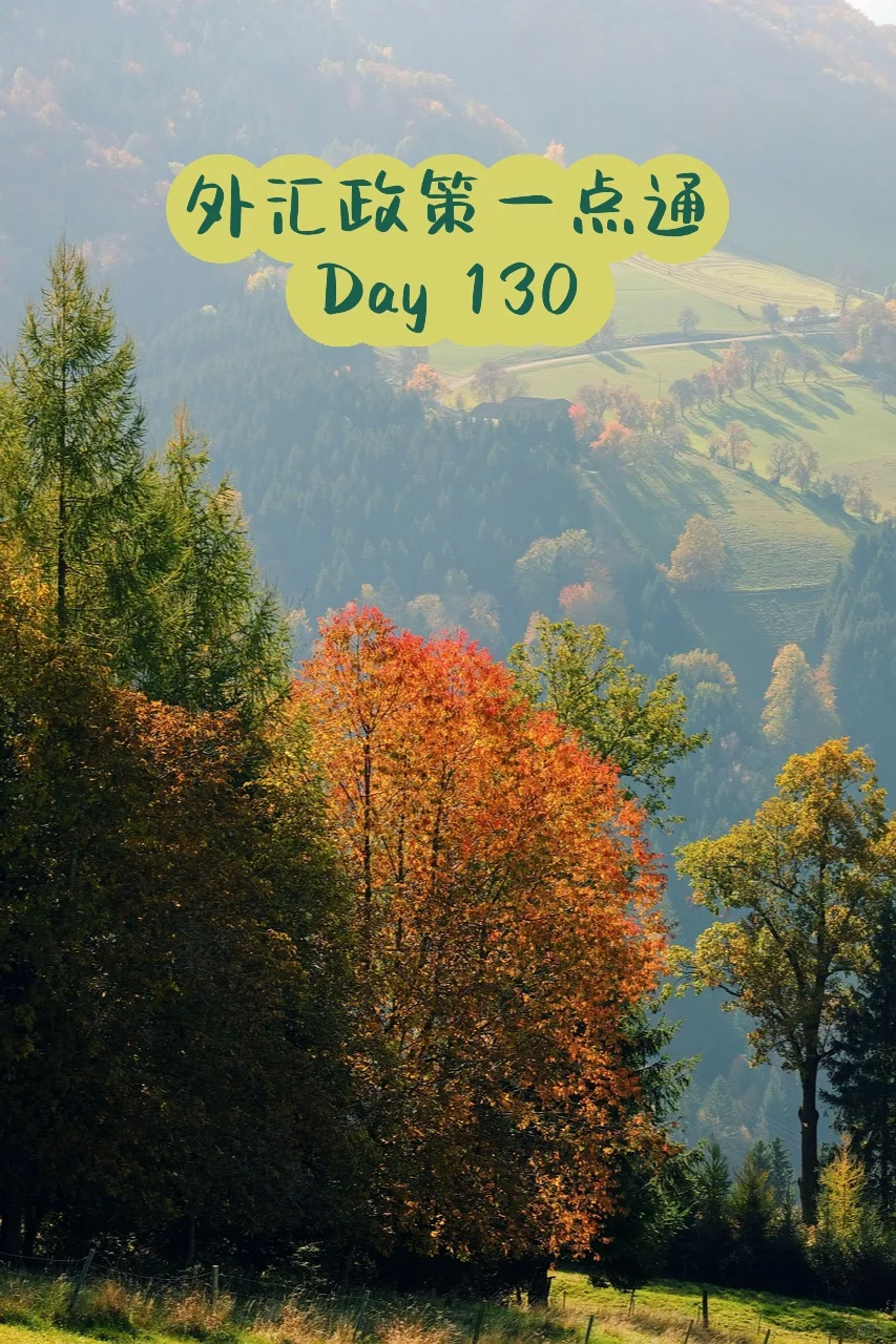 《外汇政策一点通》，宝藏素材，不容错过