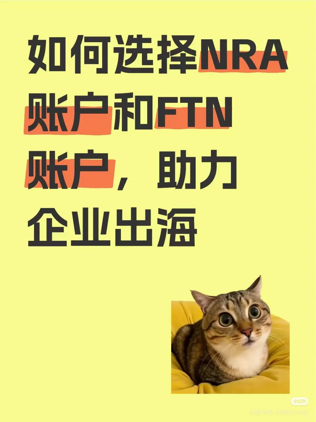 上海对公开户NRA和FT账户