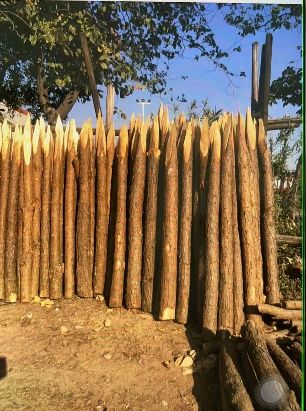 广东建筑木方用途厂家供应商广东建筑木方用