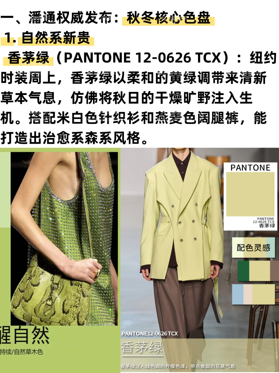 2025秋冬流行色全解析｜一篇说清秋冬流行色