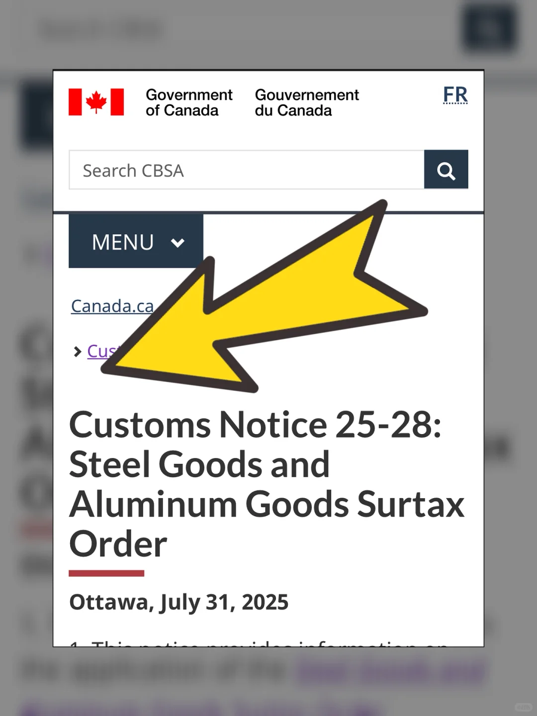 ??钢铁与铝产品附加税令, 即日生效‼️