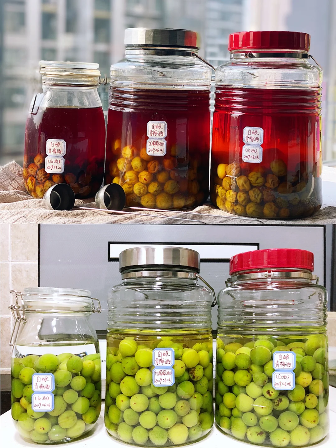 初夏之青梅，春分之美酒｜自酿青梅酒（附㊙️
