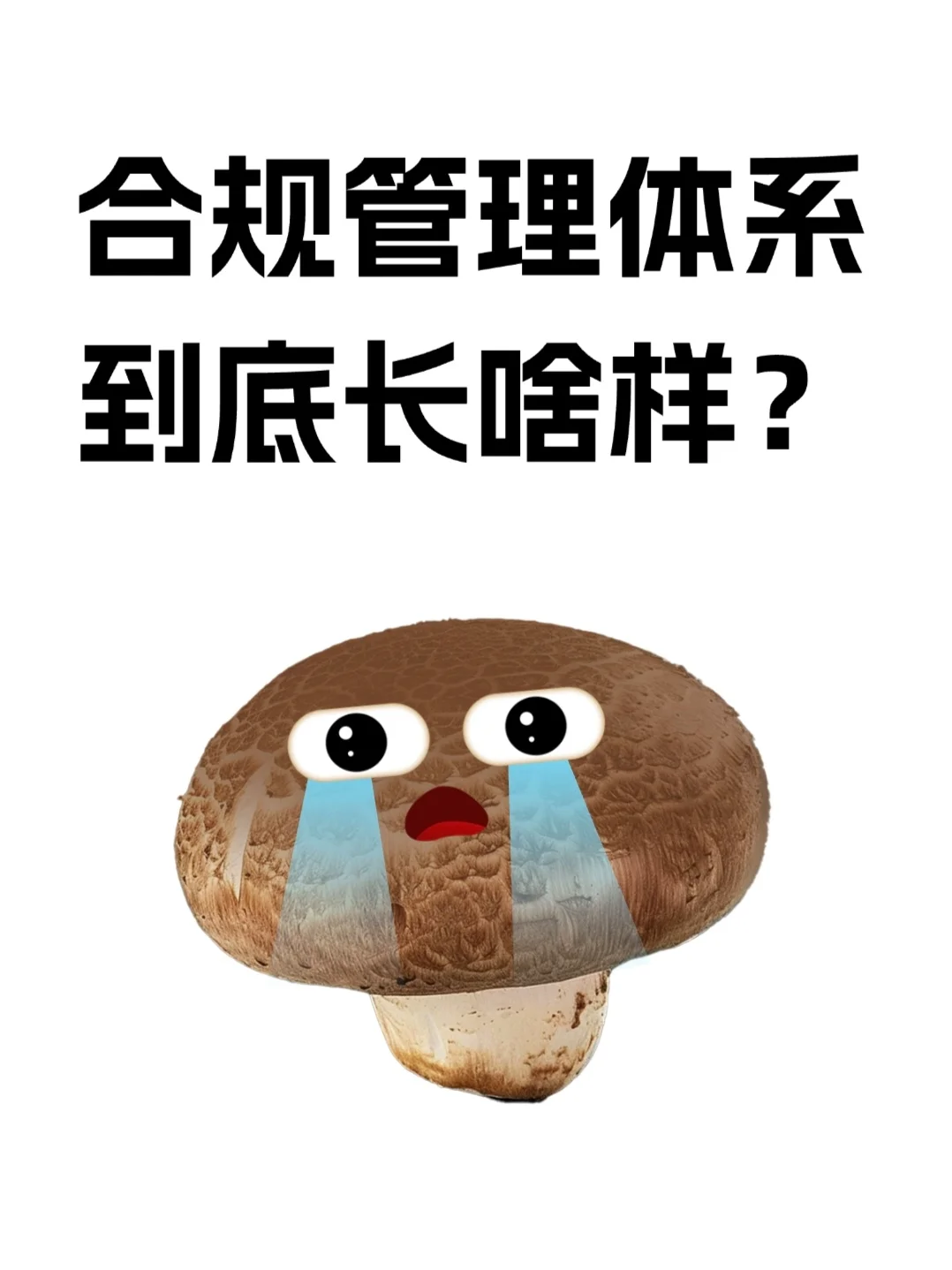 不许你不懂‼️一张表搞懂企业合规管理体系