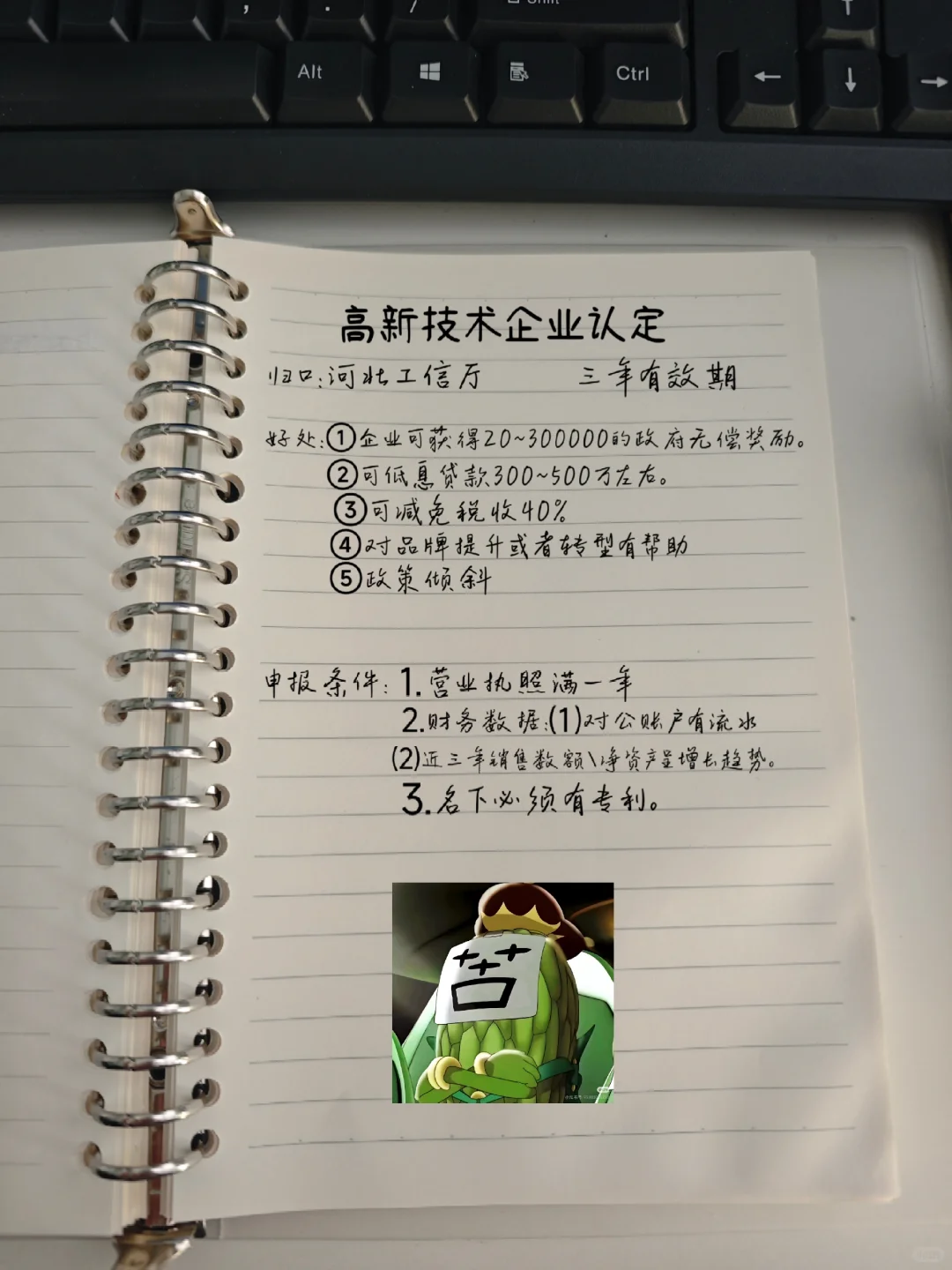 00后刚干高新认定