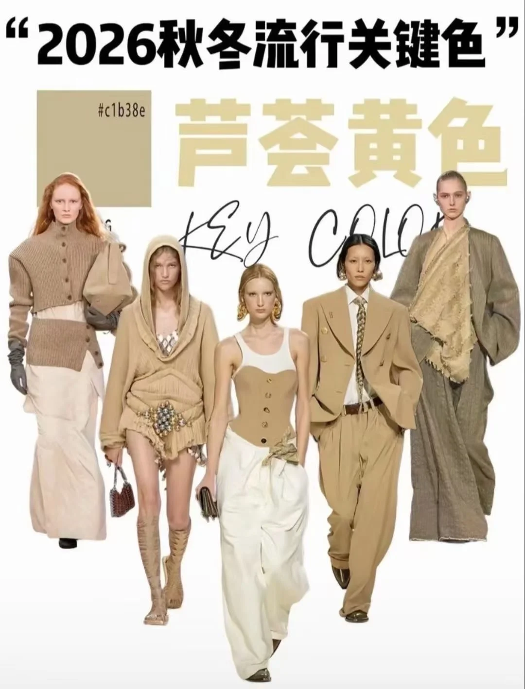 2026秋冬流行关键色