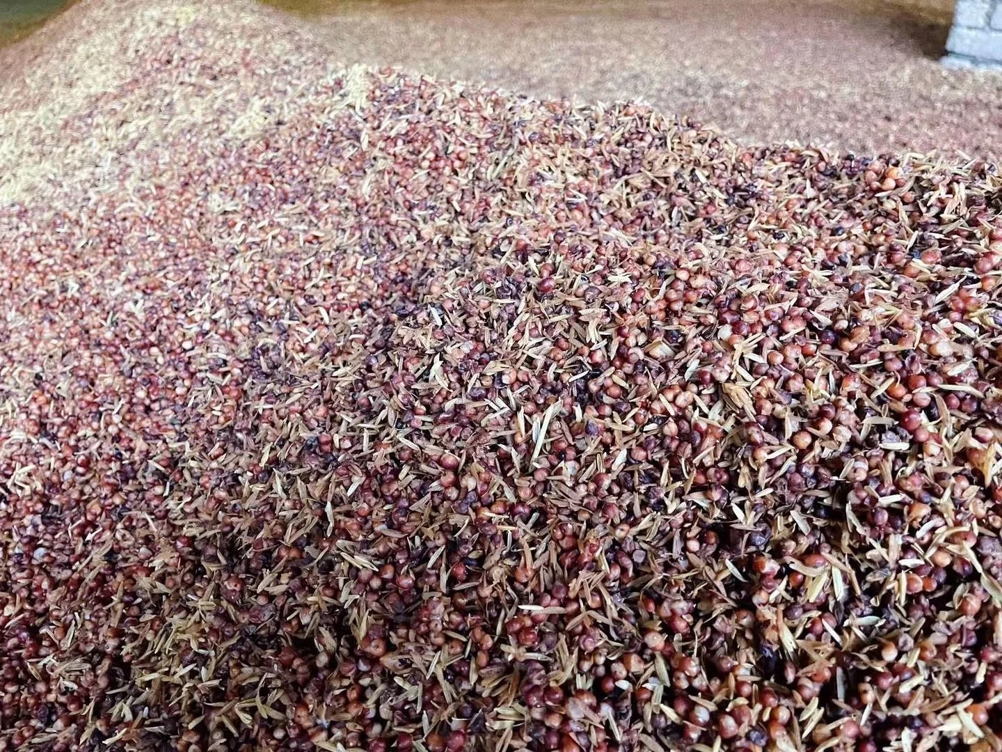 巴中雪山镇40年手作高粱酒！纯粮古法酿的神