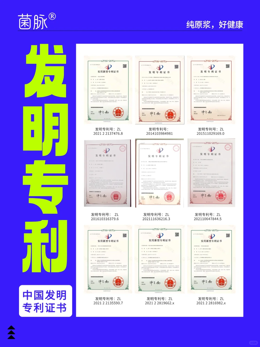 ? 1分钟搞懂！选对发酵原浆看这篇就够了！