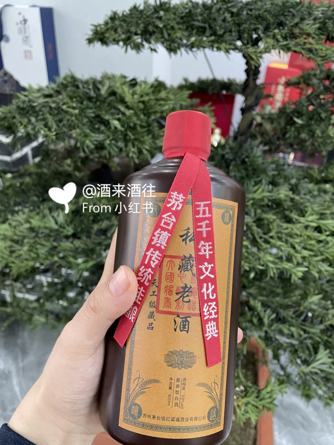 白酒为什么有苦味❓