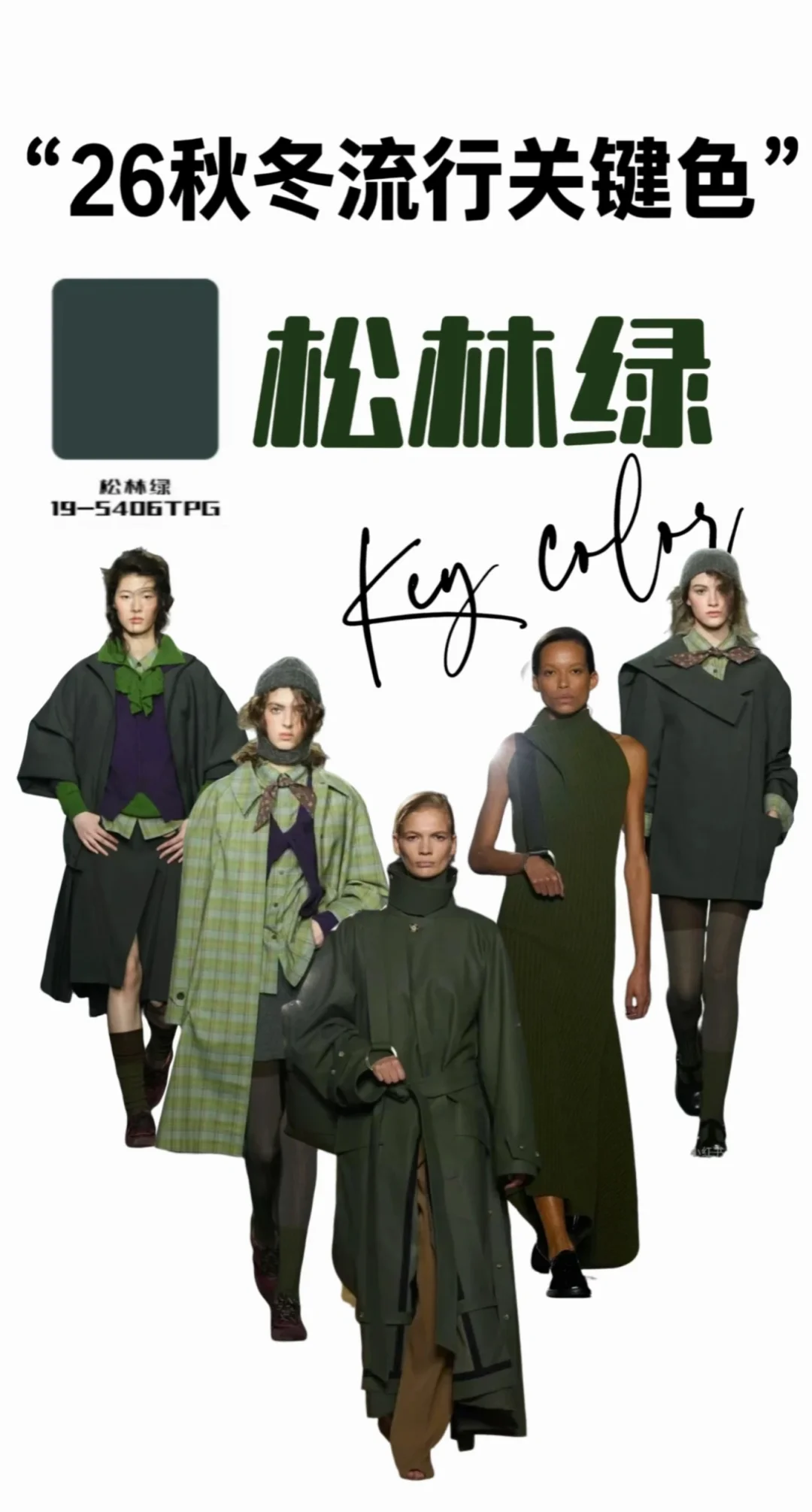 2026颜色?流行趋势