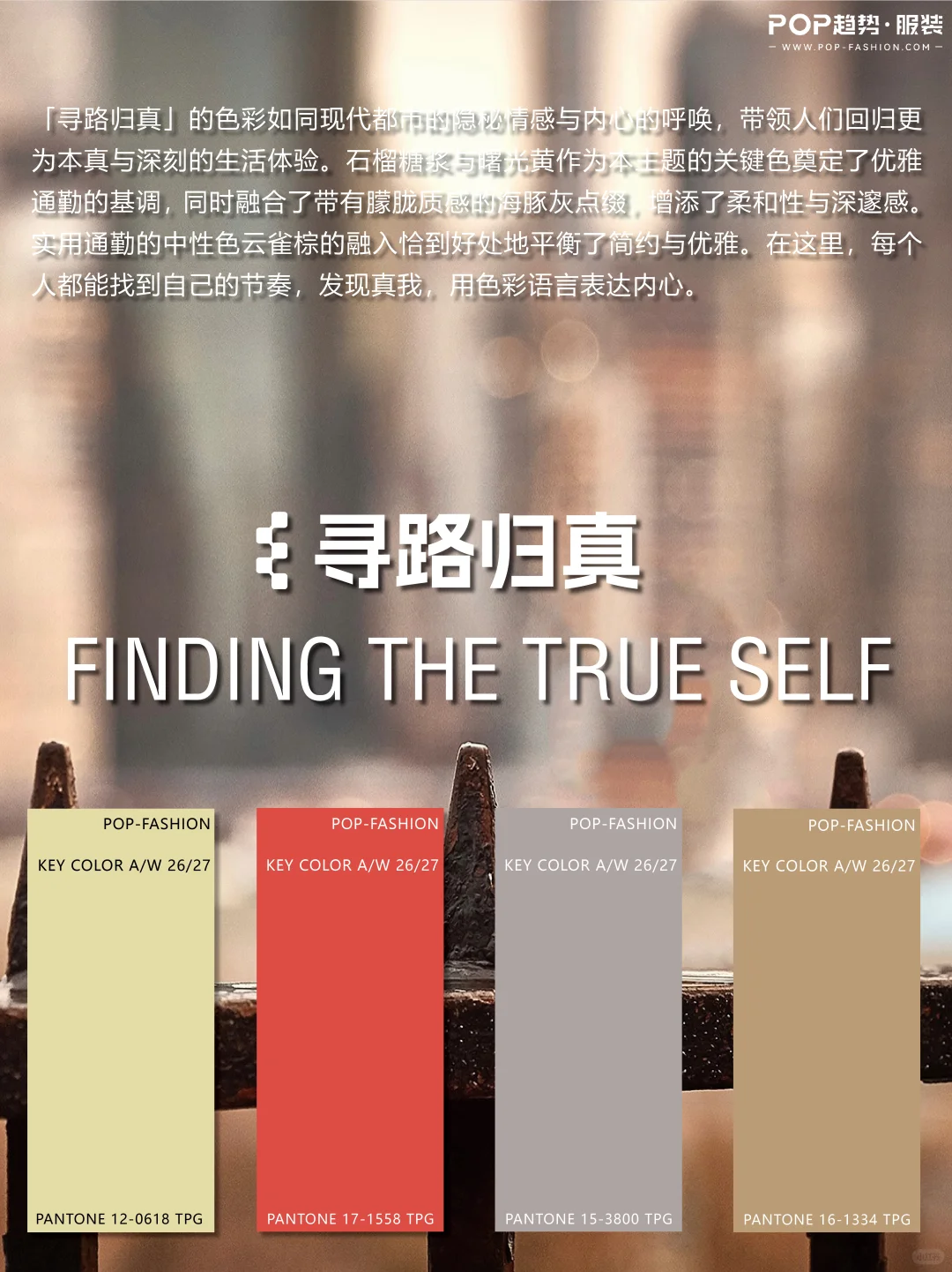 色彩研究 | 你找到属于自己的节奏了么？