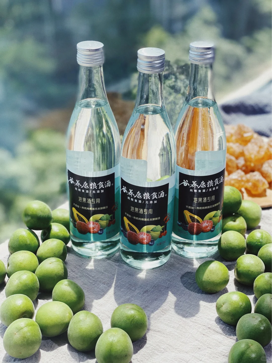 初夏之青梅，春分之美酒｜自酿青梅酒（附㊙️